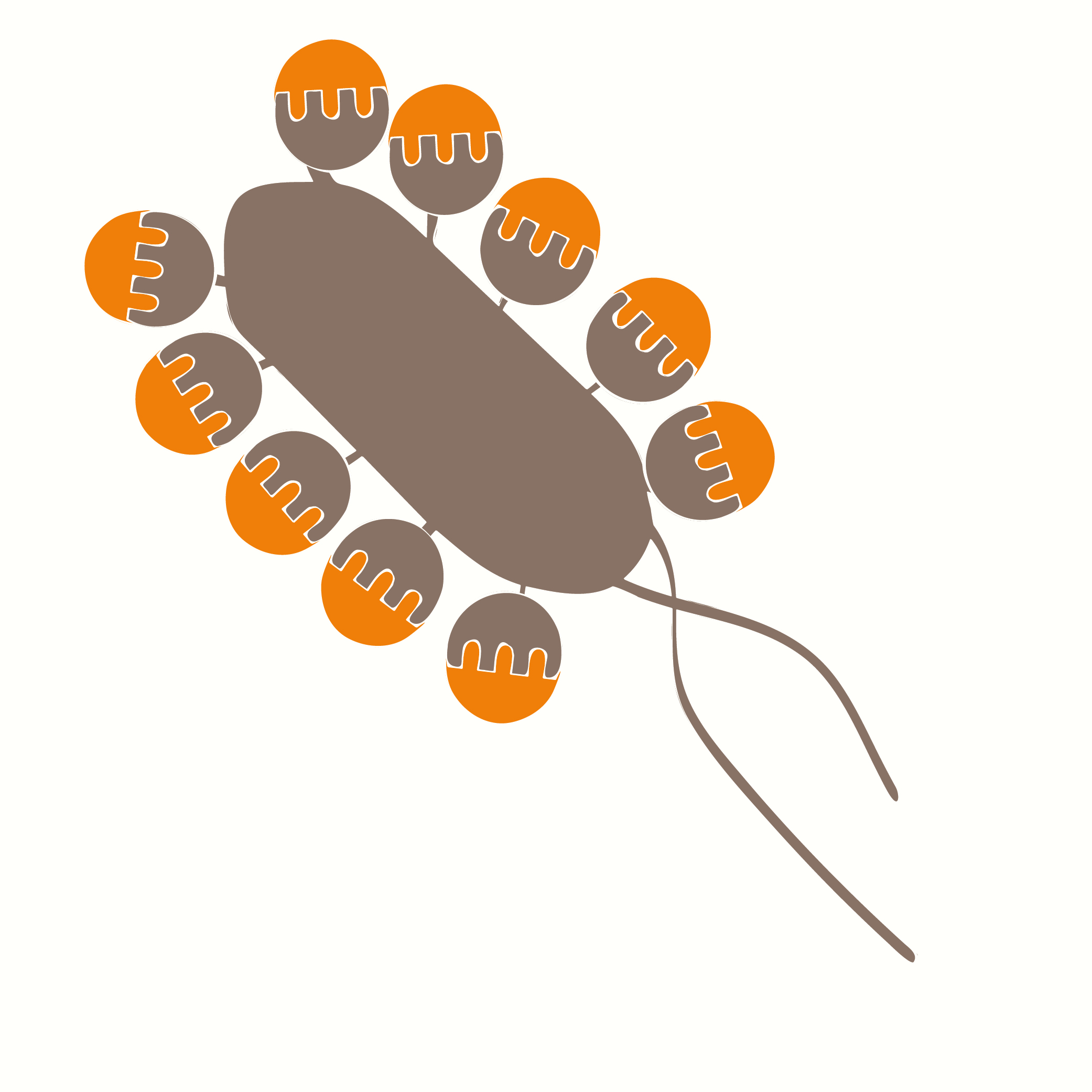 NYX-WEB-500x500-cistinyx disegno AMS